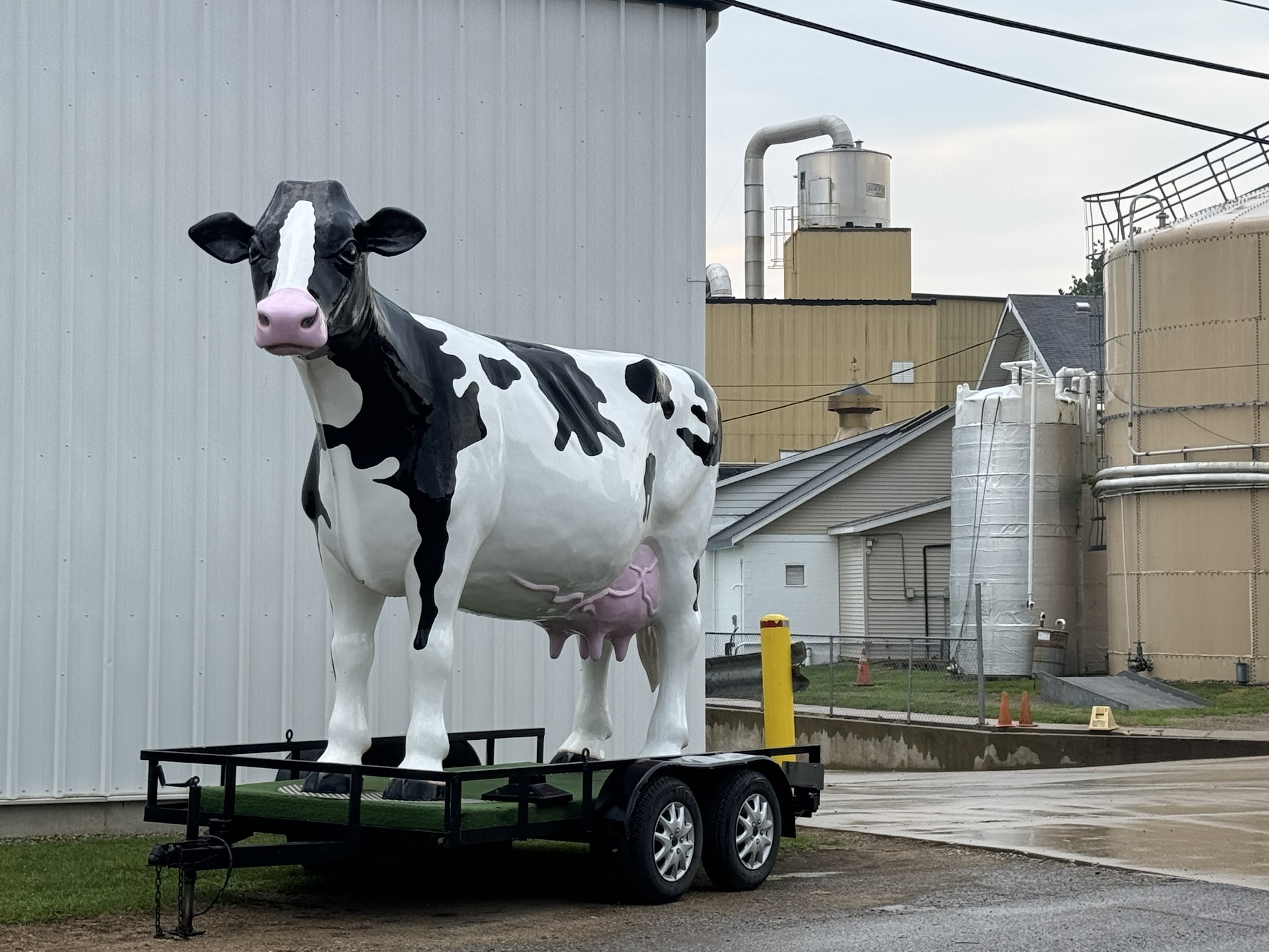 Attendees were greeted by MMPA's 15 foot tall mascot.